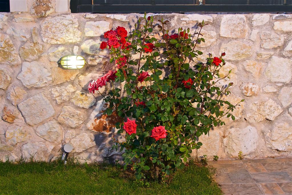 Superb Villa With Private Pool Peaceful Location Sami  Luaran gambar